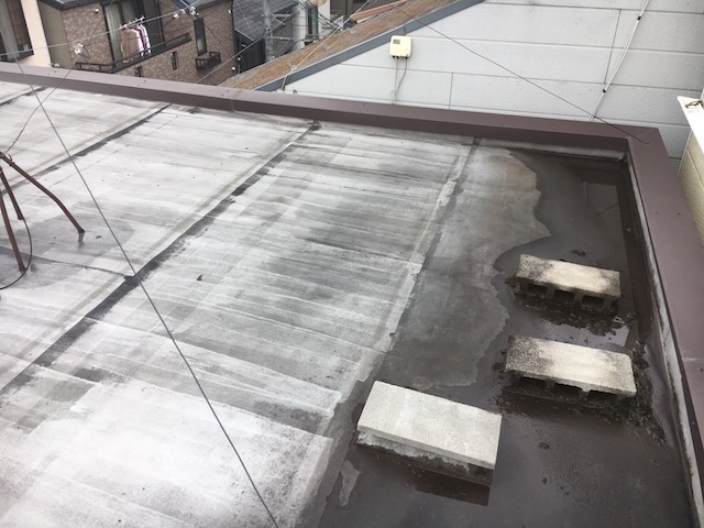 屋上全体の表面変化