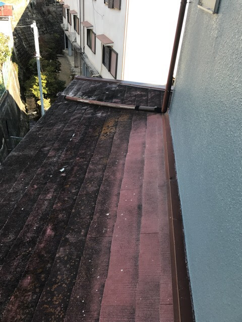 色あせた屋根の全体