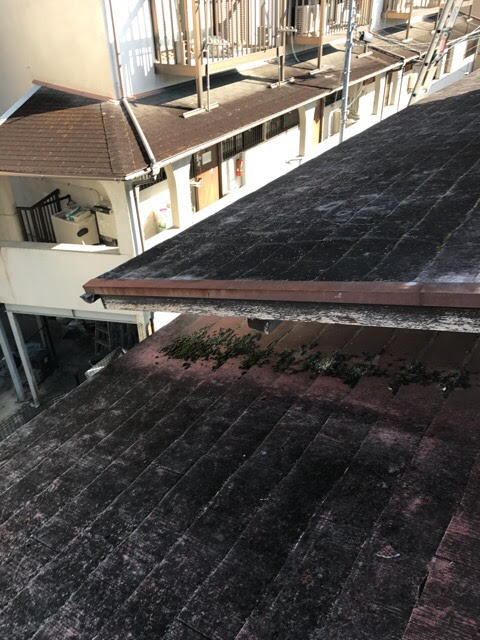 コケが付いた軒先屋根