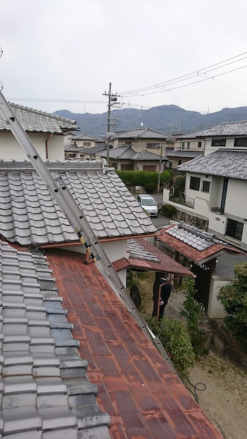板金屋根と梯子の状況