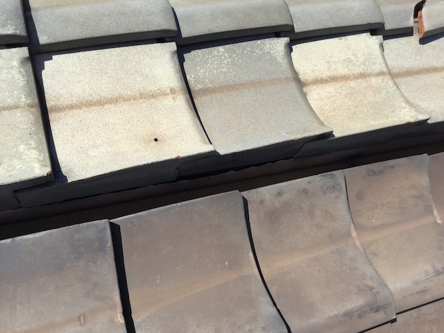 【八尾市で雨漏り修理】原因は瓦1枚！部分交換で安く即日解決【現地調査】