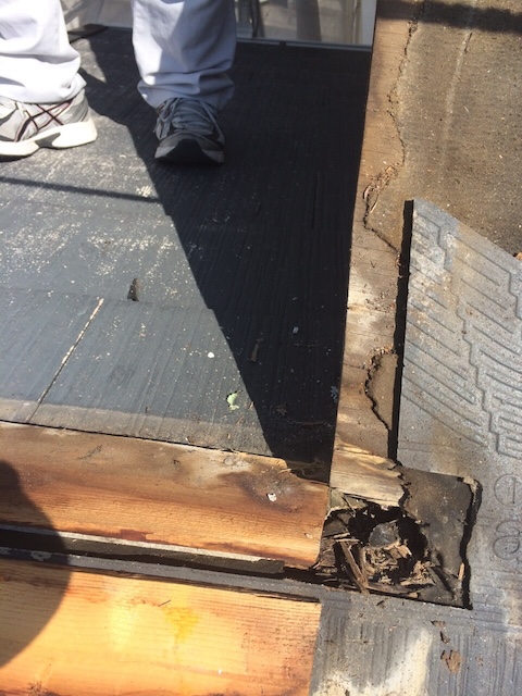 藤井寺市岡、ケラバ板金内部の下地木材が腐食している様子