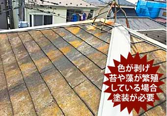 スレート屋根の色褪せや苔にも要注意